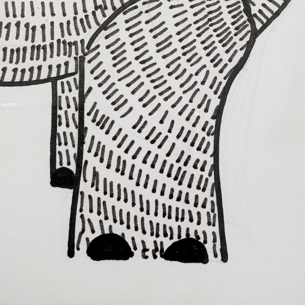 Ryan Rhino