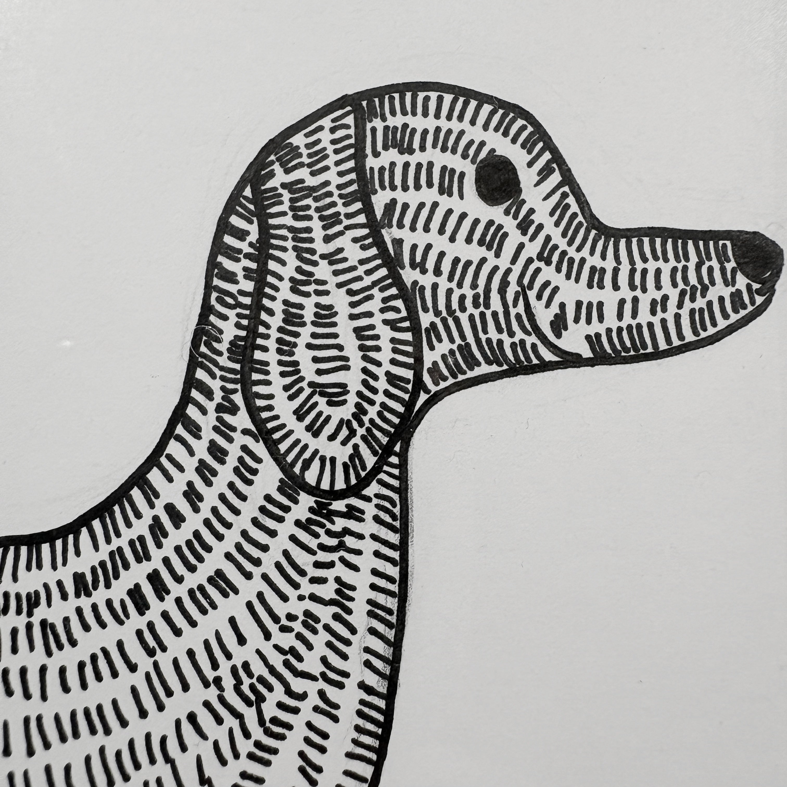Sassy Sausage Dog