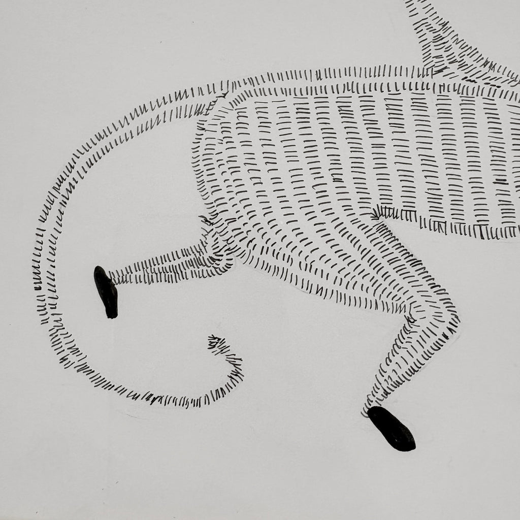 Murray Monkey