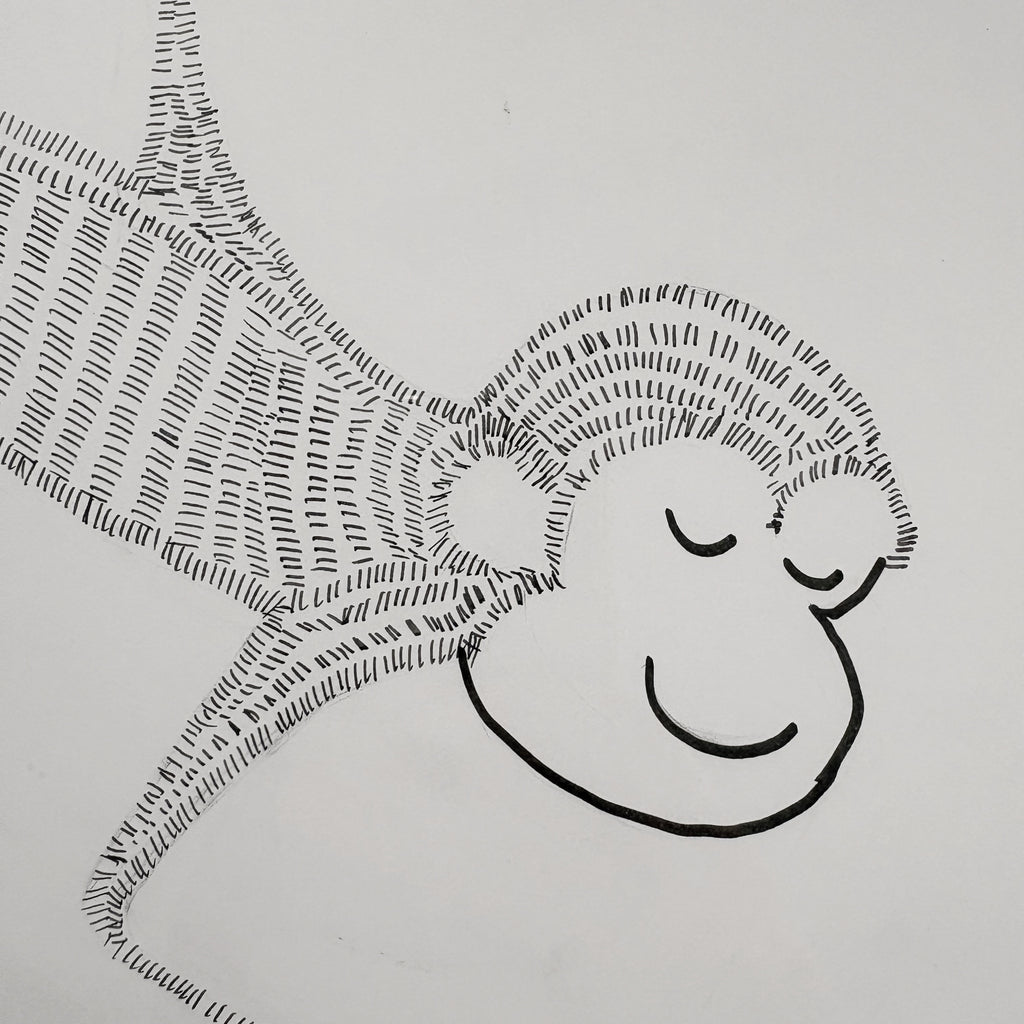 Murray Monkey