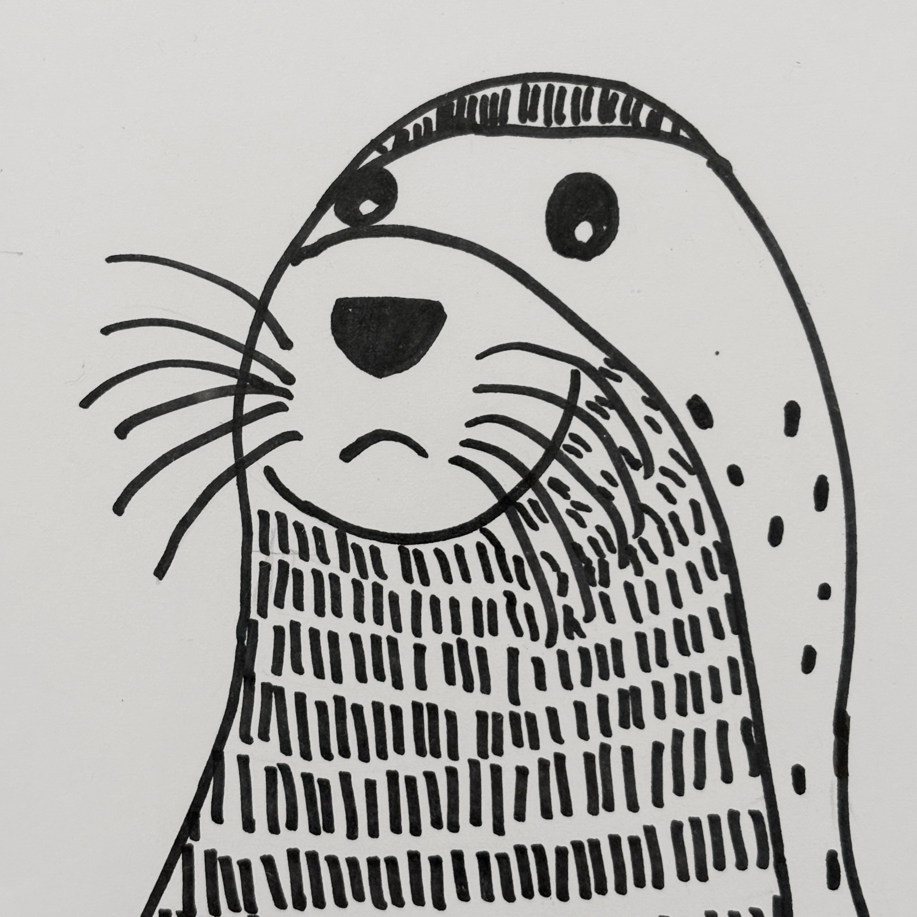 Sindi Seal