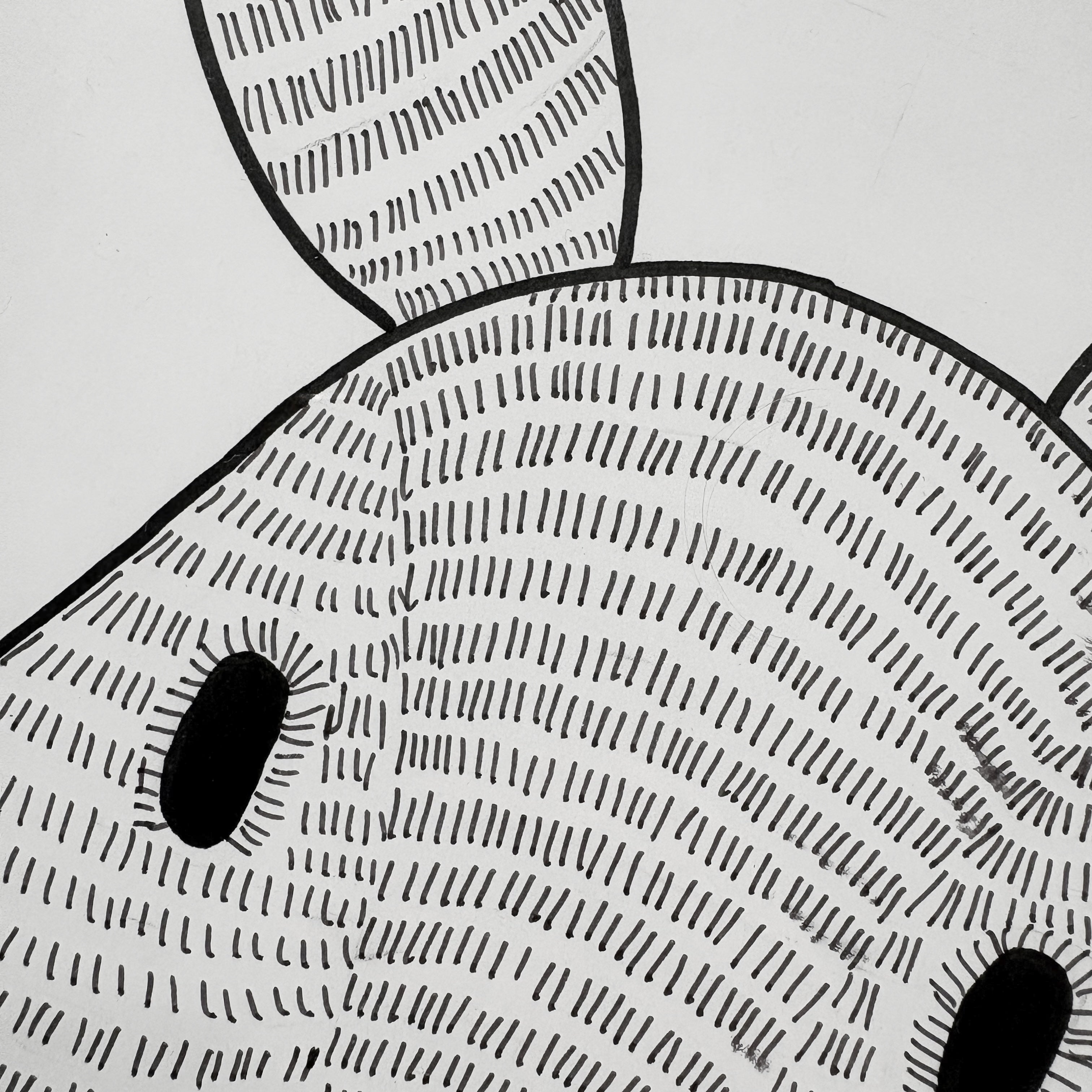Bamba Bunny